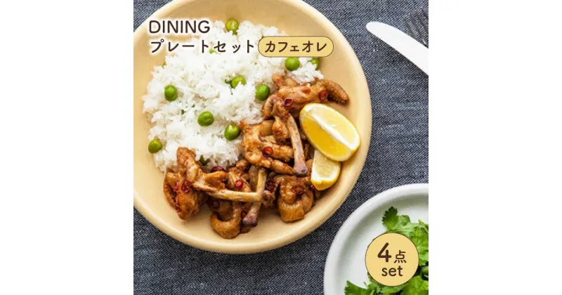 【ふるさと納税】【美濃焼】DINING プレートセット カフェオレ【ZERO JAPAN】≪土岐市≫ ワンプレート パスタ皿 食器 [MBR083]