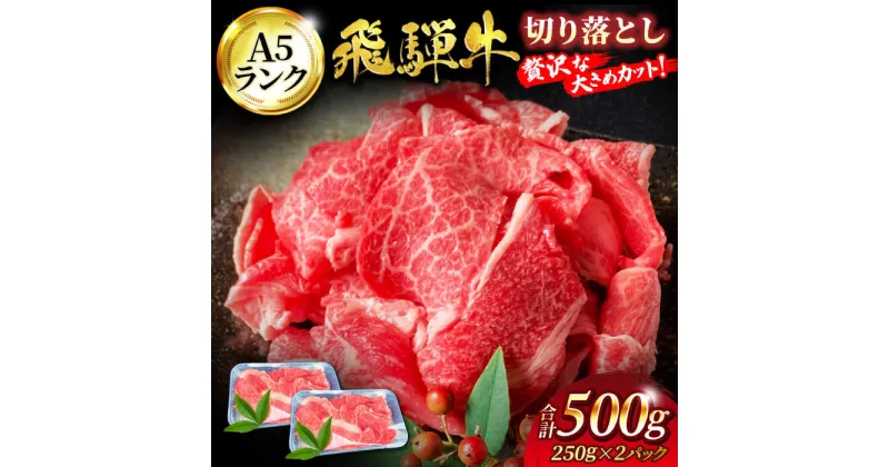 【ふるさと納税】A5ランク 飛騨牛 切り落とし 500g(250g×2) 【有限会社マルゴー】牛肉 飛騨牛 土岐市[MBE002]