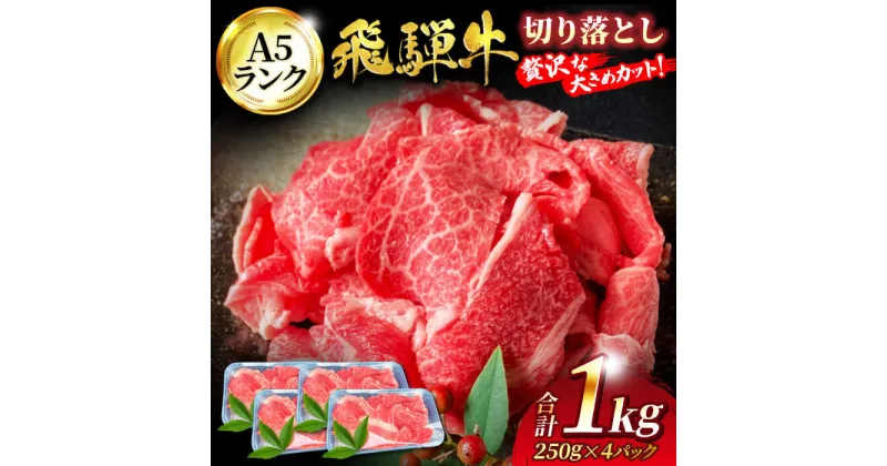 【ふるさと納税】A5ランク 飛騨牛 切り落とし 1kg(250g×4)【有限会社マルゴー】牛肉 飛騨牛 土岐市 [MBE003]