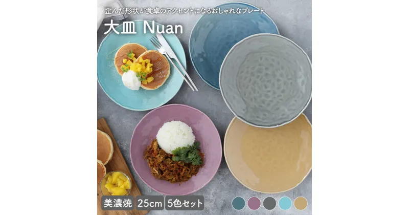 【ふるさと納税】【美濃焼】大皿 25cm Nuan 5色セット【EAST table】≪土岐市≫プレート 食器 うつわ [MBS011]