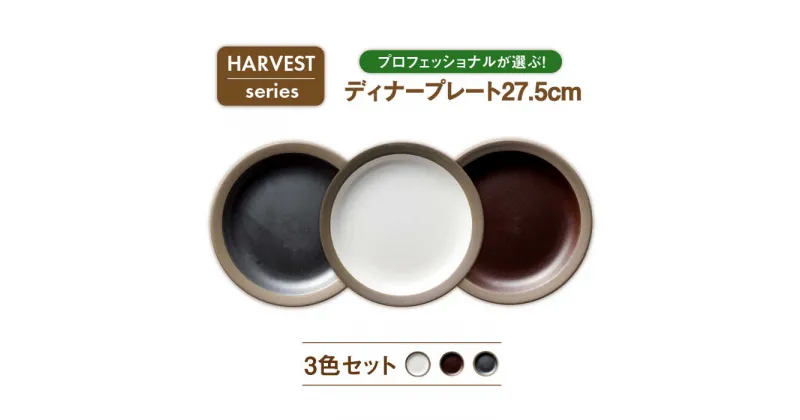 【ふるさと納税】【美濃焼】HARVEST 27.5cmディナープレート 3色セット（光洋陶器）【cierto】食器 皿 大皿 [MCD002]