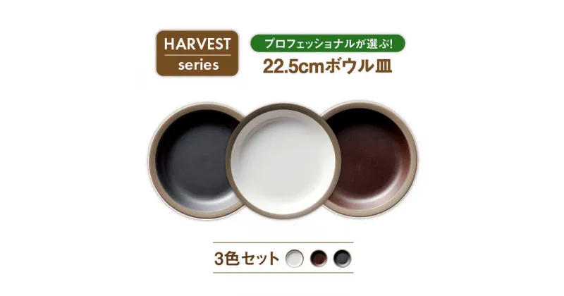 【ふるさと納税】【美濃焼】HARVEST 22.5cmカレースパゲティボウル 3色セット（光洋陶器）【cierto】食器 皿 大皿 [MCD003]