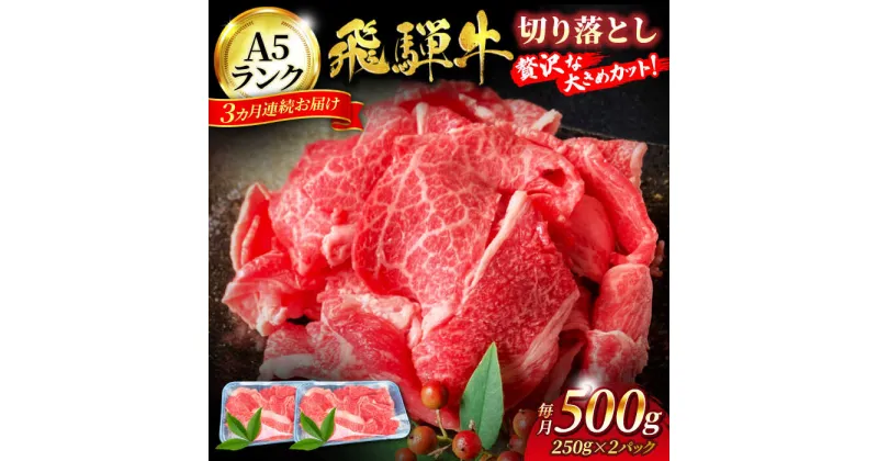 【ふるさと納税】【3回定期便】A5ランク 飛騨牛 切り落とし 500g（250g×2）総計1.5kg【有限会社マルゴー】[MBE029]