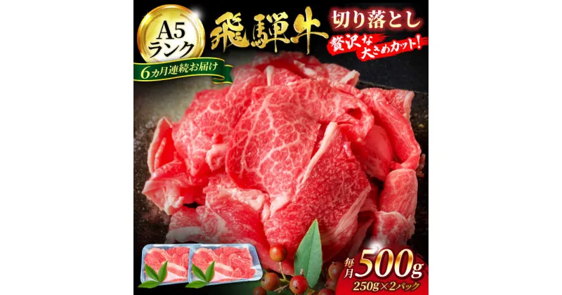 【ふるさと納税】【6回定期便】A5ランク 飛騨牛切り落とし 500g（250g×2）総計3kg【有限会社マルゴー】[MBE030]