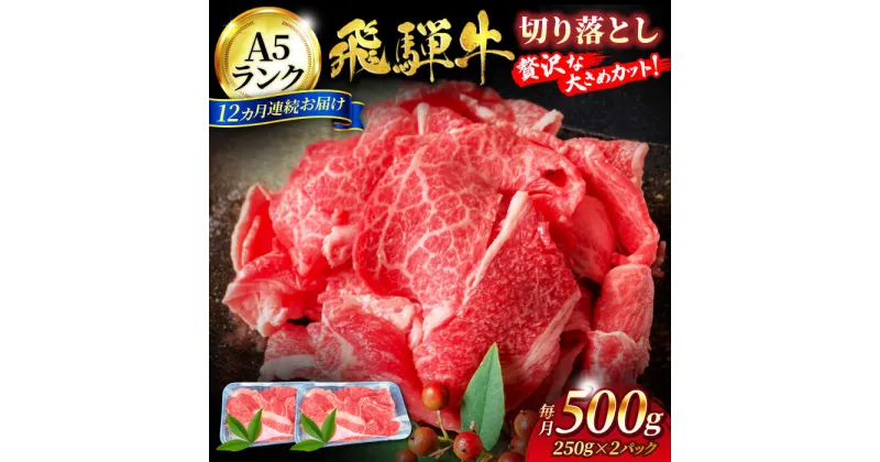 【ふるさと納税】【12回定期便】A5ランク 飛騨牛切り落とし500g（250g×2）総計6kg【有限会社マルゴー】[MBE031]