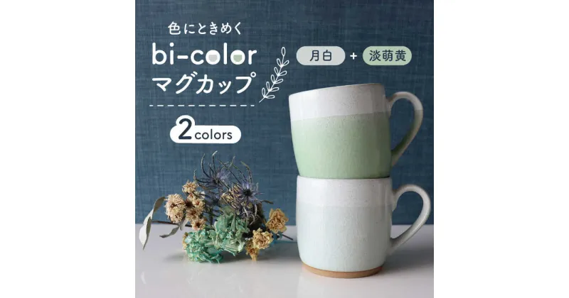 【ふるさと納税】【美濃焼】bi-color マグカップ 2色セット (月白・淡萌黄)【山二製陶所】≪土岐市≫ 食器 コーヒーカップ ティーカップ [MDA004]