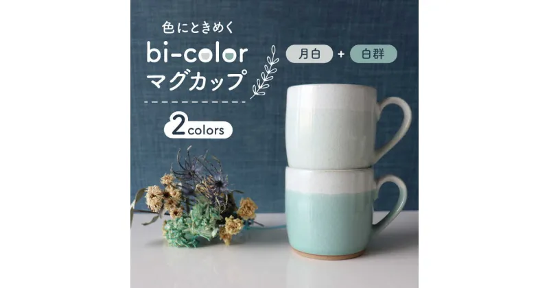 【ふるさと納税】【美濃焼】bi-color マグカップ 2色セット (月白・白群)【山二製陶所】≪土岐市≫ 食器 コーヒーカップ ティーカップ [MDA006]