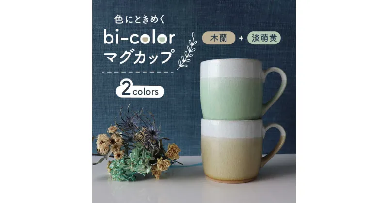 【ふるさと納税】【美濃焼】bi-color マグカップ 2色セット (淡萌黄・木蘭)【山二製陶所】≪土岐市≫ 食器 コーヒーカップ ティーカップ [MDA007]