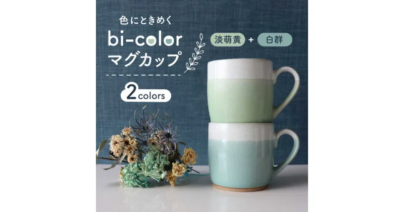 【ふるさと納税】【美濃焼】bi-color マグカップ 2色セット (淡萌黄・白群)【山二製陶所】≪土岐市≫ 食器 コーヒーカップ ティーカップ [MDA008]