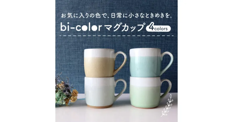 【ふるさと納税】【美濃焼】bi-color マグカップ 4色セット (白群・淡萌黄・月白・木蘭)【山二製陶所】≪土岐市≫ 食器 コーヒーカップ ティーカップ [MDA009]