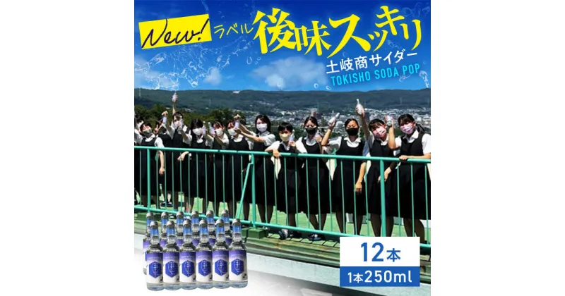 【ふるさと納税】土岐商サイダー 250ml 12本セット【千古乃岩酒造】炭酸 ご当地 岐阜 [MBK003]