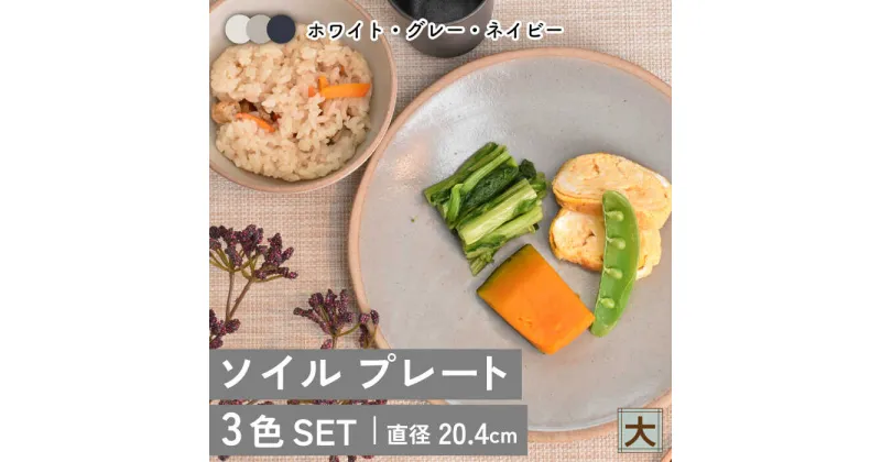 【ふるさと納税】【美濃焼】ソイル プレート（大）3色セット【金正陶器】皿 大皿 食器≪土岐市≫ [MAK032]