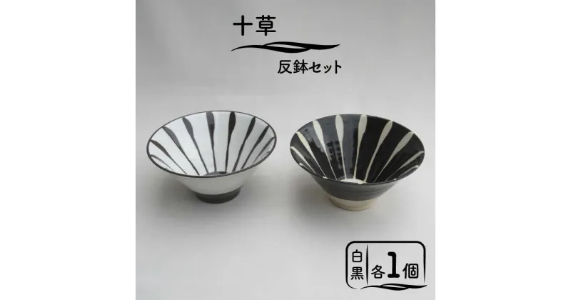 【ふるさと納税】【美濃焼】「十草」反鉢セット（白＆黒）【鈴木陶苑】 食器 鉢 ボウル [MAU027]