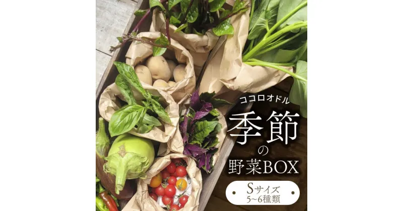 【ふるさと納税】季節の野菜BOX Sサイズ （5～6種類）【Farm Regalo】旬野菜 冷蔵 おまかせ [MDU001]