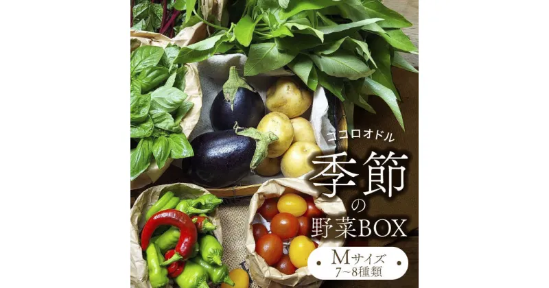 【ふるさと納税】季節の野菜BOX Mサイズ （7～8種類）【Farm Regalo】旬野菜 冷蔵 おまかせ [MDU002]