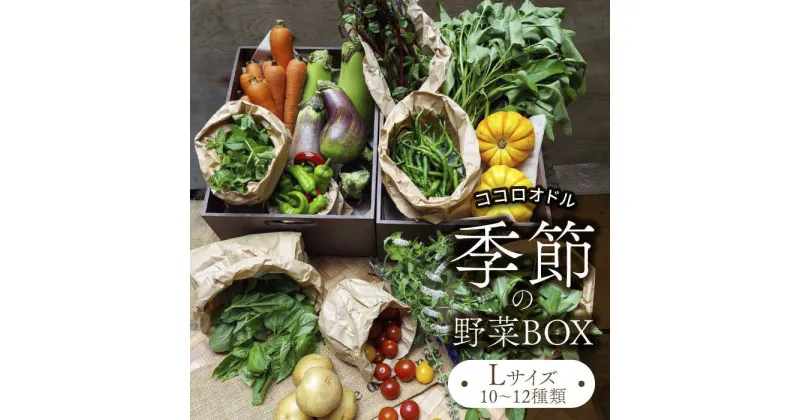 【ふるさと納税】季節の野菜BOX Lサイズ （10～12種類）【Farm Regalo】旬野菜 冷蔵 おまかせ [MDU003]