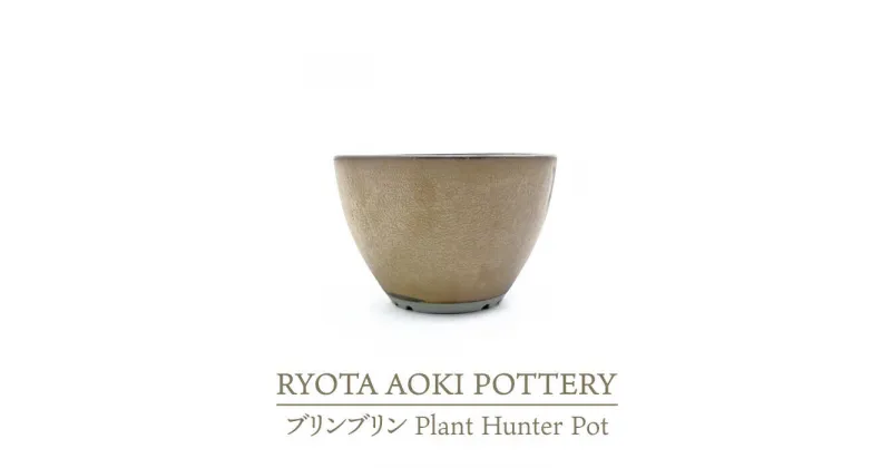 【ふるさと納税】【美濃焼】ブリンブリン Plant Hunter Pot【RYOTA AOKI POTTERY/青木良太】/ 陶芸家 プランター インテリア [MCH288]