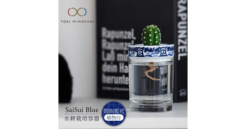 【ふるさと納税】【美濃焼】SaiSui Blue（間取藍花）植物付き【大東亜窯業】インテリア 雑貨 観葉植物 [MAG068]