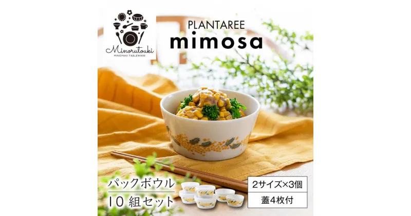 【ふるさと納税】【美濃焼】PLANTAREE-mimosa- パックボウル 10組セット（2サイズ×3個 蓋4枚付）【みのる陶器】小鉢 鉢 ボウル[MBF030]