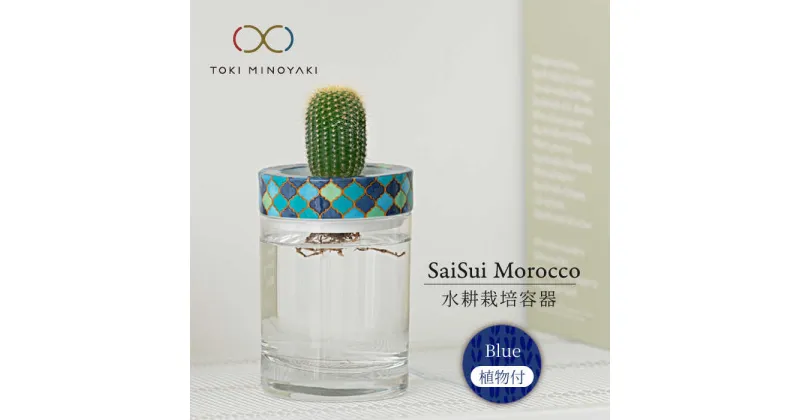 【ふるさと納税】【美濃焼】SaiSui Morocco（Blue）植物付き【大東亜窯業】インテリア 雑貨 観葉植物 [MAG071]