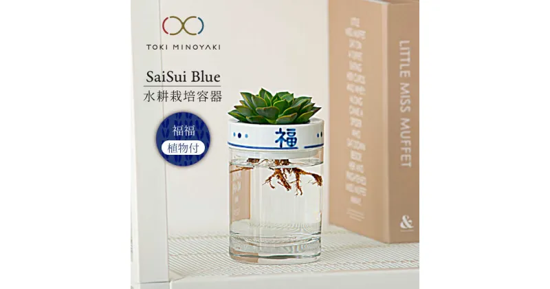 【ふるさと納税】【美濃焼】SaiSui Blue（福福）植物付き【大東亜窯業】インテリア 雑貨 観葉植物 [MAG067]