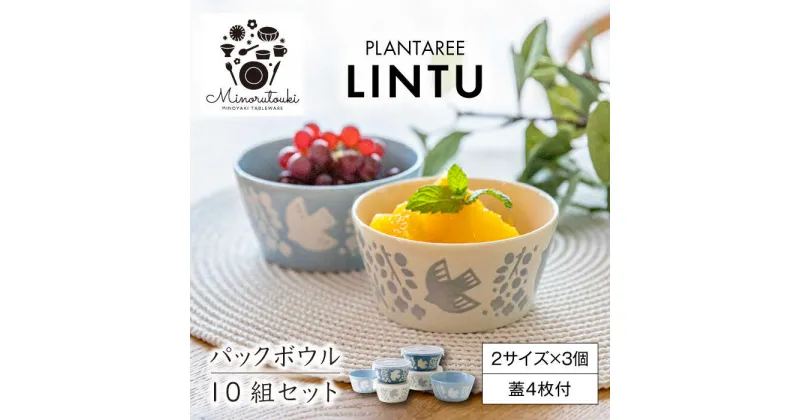 【ふるさと納税】【美濃焼】PLANTAREE-LINTU- パックボウル 10組セット（2サイズ×3色 蓋4枚付）【みのる陶器】小鉢 鉢 ボウル[MBF033]