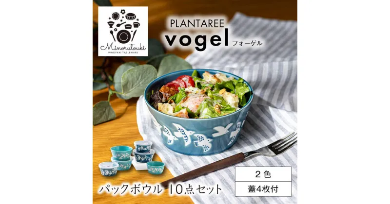 【ふるさと納税】【美濃焼】PLANTAREE-vogel- パックボウル 10点セット【みのる陶器】小鉢 鉢 ボウル[MBF086]