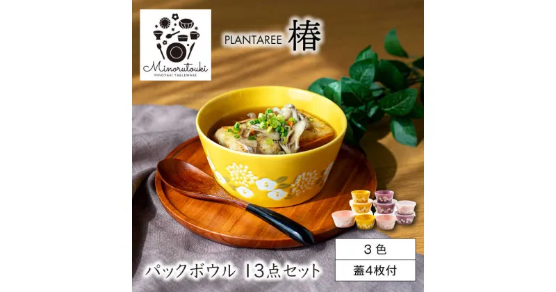 【ふるさと納税】【美濃焼】PLANTAREE-椿- パックボウル 13点セット 【みのる陶器】小鉢 鉢 ボウル[MBF085]