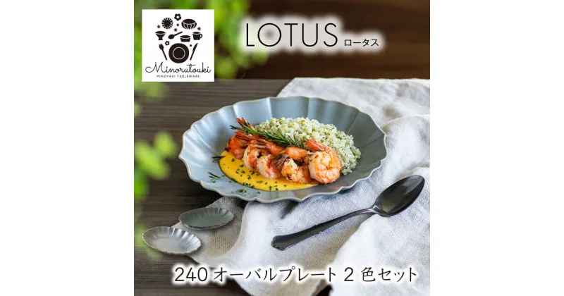 【ふるさと納税】【美濃焼】LOTUS(ロータス) 240オーバルプレート 2組セット（1形状×2色）【みのる陶器】 皿 プレート [MBF097]