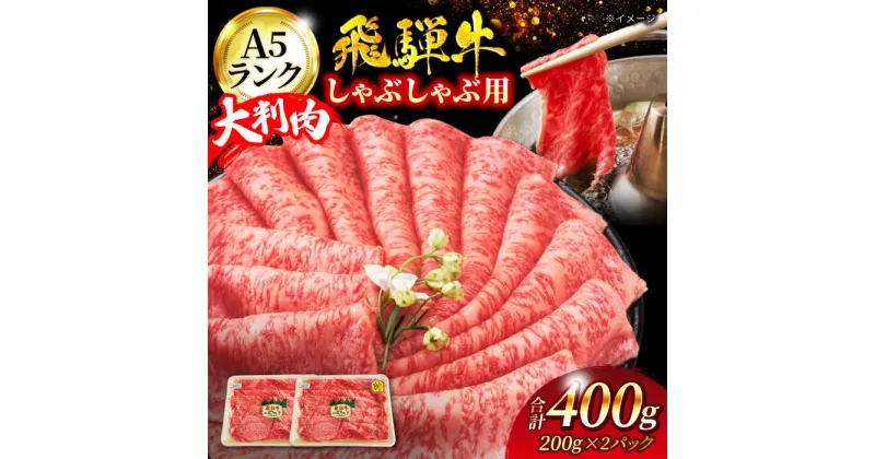 【ふるさと納税】A5ランク 飛騨牛 しゃぶしゃぶ用 400g（200g×2）【有限会社マルゴー】牛肉 和牛 国産 [MBE065]