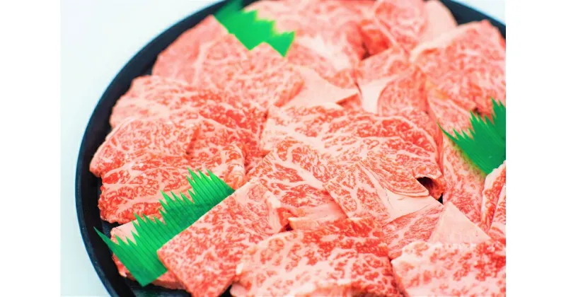 【ふるさと納税】特撰飛騨牛A5等級　肩ロース・赤身　焼肉用900g【牛肉】