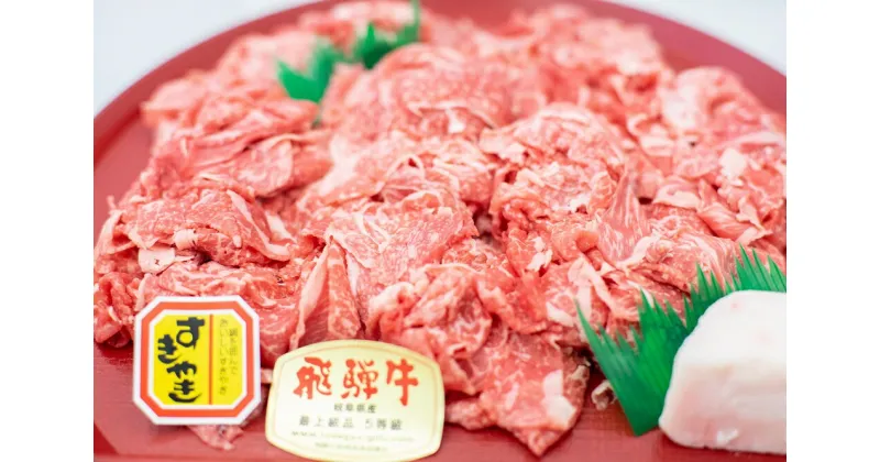 【ふるさと納税】特撰飛騨牛A5等級　切り落とし800g【牛肉】