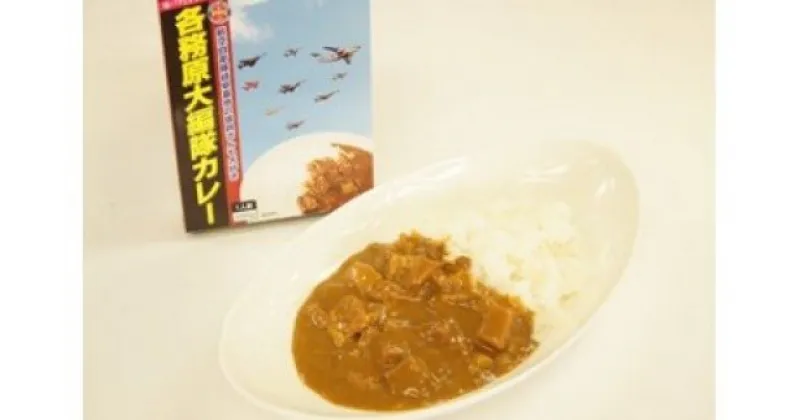 【ふるさと納税】各務原大編隊カレー　10箱セット