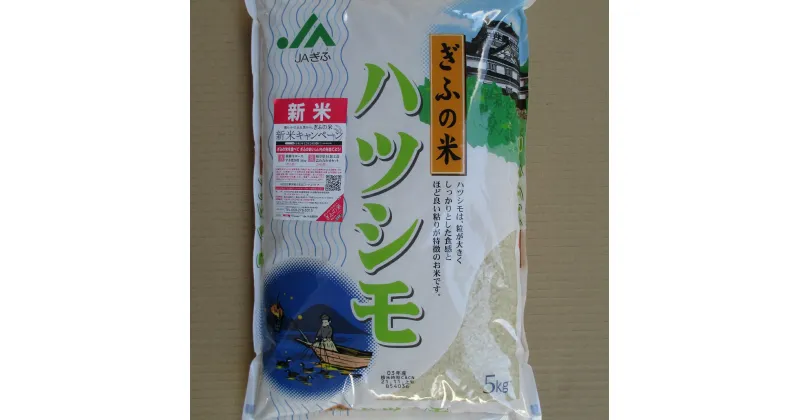 【ふるさと納税】岐阜県産JAぎふハツシモ　5kg