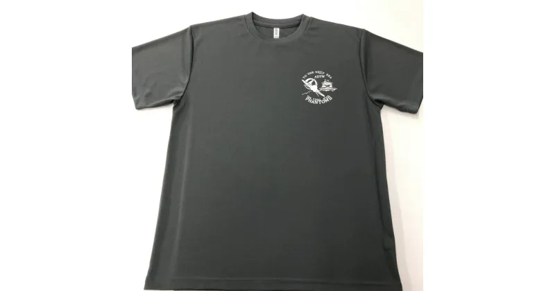 【ふるさと納税】F-4EJ 301号機 Tシャツ（岐阜城 F-4 グレー）