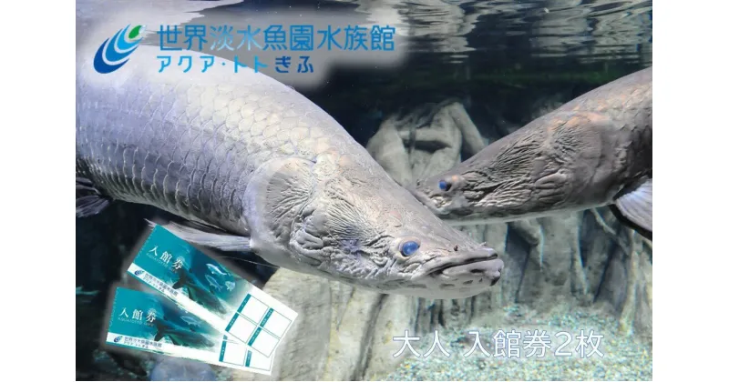 【ふるさと納税】世界淡水魚園水族館　アクア・トトぎふ　入館券（大人2枚）