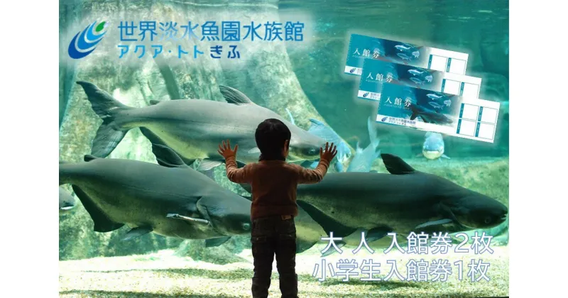 【ふるさと納税】世界淡水魚園水族館　アクア・トトぎふ　入館券（大人2枚・小学生1枚）