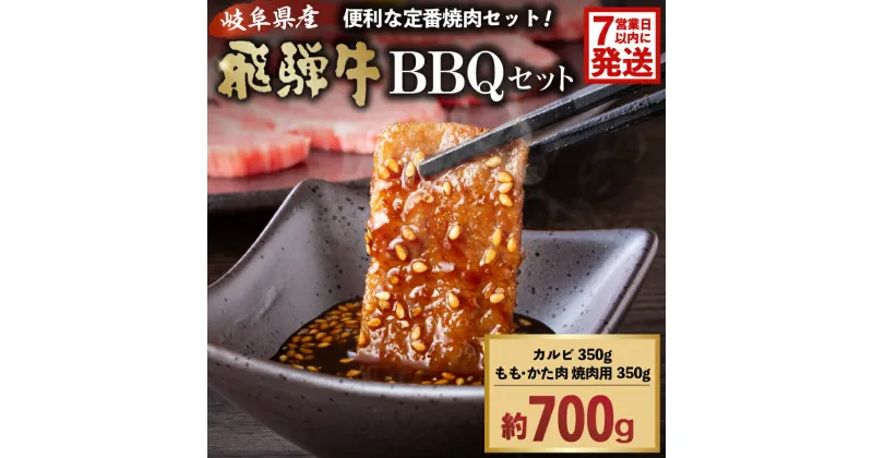 【ふるさと納税】 【7営業日以内発送】 飛騨牛BBQセット カルビ350g もも かた肉 焼き肉用350g 岐阜県 可児市 肉 お肉 ブランド ブランド牛 バーベキュー 詰め合わせ お取り寄せ グルメ 送料無料