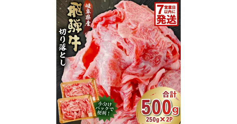 【ふるさと納税】 【7営業日以内発送】 飛騨牛 切り落とし 500g 250g×2 牛肉 カレー シチュー 牛丼 肉じゃが 牛しぐれ煮 牛すき煮 炒め物 食品 肉 国産 和牛 ブランド牛 ブランド 小分け パック セット 国産牛 お肉 ロース 赤身 バラ ミックス 冷凍 料理 岐阜県 送料無料