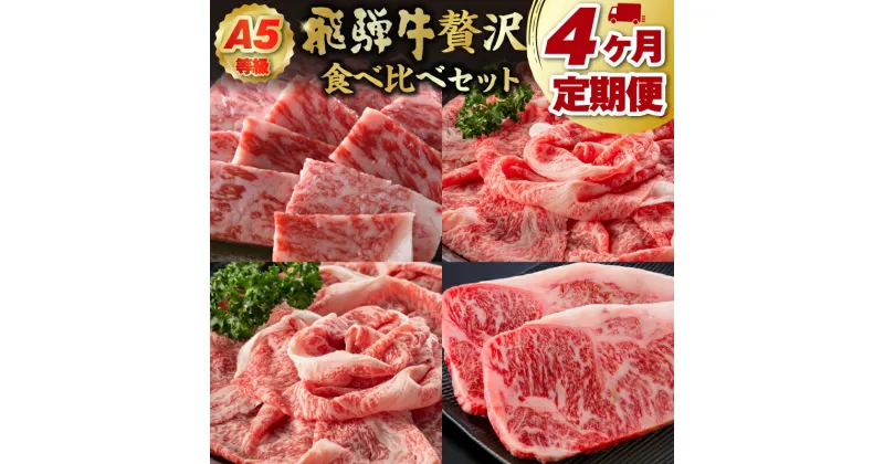 【ふるさと納税】A5等級　飛騨牛贅沢食べ比べセット【定期便】 岐阜県 可児市 サーロイン ステーキ ロース すき焼き しゃぶしゃぶ 焼き肉 ソース付き ブランド牛 和牛 霜降り 肉 牛肉 お取り寄せ グルメ 送料無料