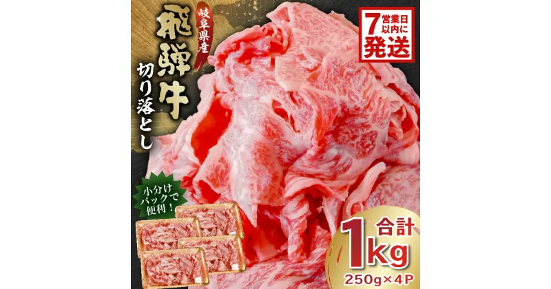 【ふるさと納税】 【7営業日以内発送】 飛騨牛切り落とし1kg（250g×4） 牛肉 カレー シチュー 牛丼 肉じゃが 牛しぐれ煮 炒め物 食品 肉 国産 和牛 ブランド牛 ブランド 小分け パック セット 国産牛 お肉 ロース もも 赤身 バラ ミックス 料理 岐阜県 送料無料