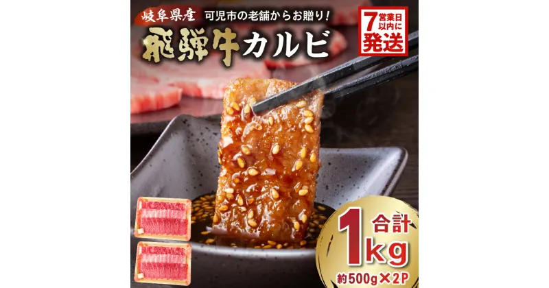 【ふるさと納税】【7営業日以内発送】 飛騨牛 カルビ 1kg （500g×2）焼肉 肉 牛肉 カルビ 焼肉用 合計1kg 1キロ まとめ買い おうち焼肉 BBQ バーベキュー 肉 花見 和牛 国産牛 黒毛和牛 送料無料