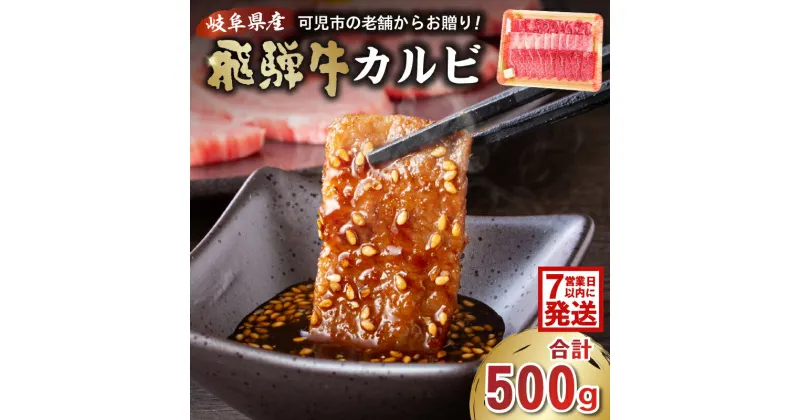 【ふるさと納税】【7営業日以内発送】 飛騨牛 カルビ 500g 岐阜県 可児市 焼肉 BBQ バーベキュー 肉 牛肉 和牛 ブランド牛 黒毛和牛 国産 赤身 脂身 霜降り やわらか 旨味 甘み コク アウトドア キャンプ カルビ丼 冷凍 送料無料