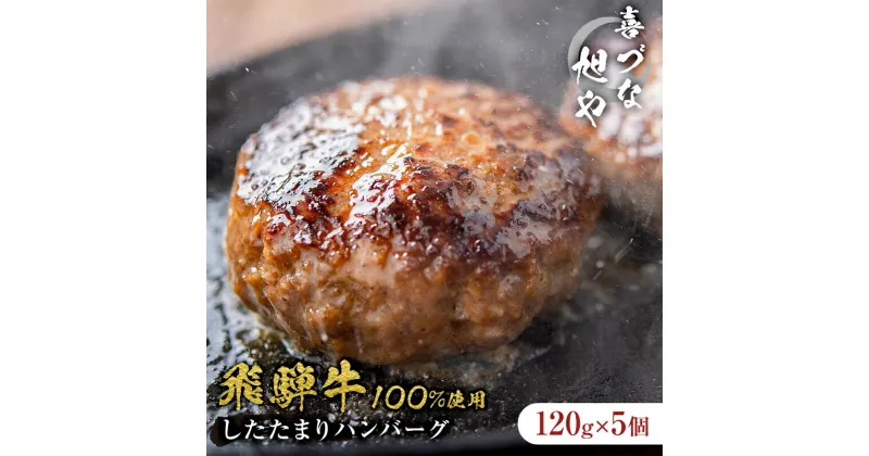 【ふるさと納税】 喜づな旭や 飛騨牛 100％ したたまり ハンバーグ 120g×5個 岐阜県 可児市 牛肉 和牛 ブランド牛 洋食 プレーン シンプル おかず 挽肉 ひき肉 肉汁 味噌たまり醤油 みそたまり ギフト 贈り物 贈答 個包装 真空パック 便利 時短 冷凍 お中元 御中元 送料無料