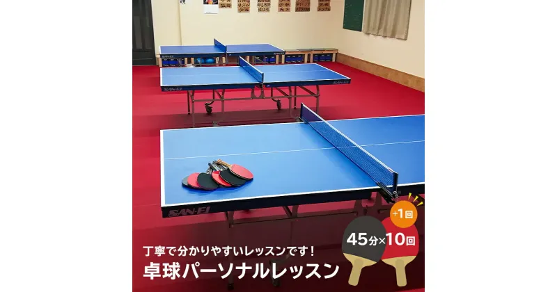 【ふるさと納税】卓球パーソナルレッスン 45分×11回 岐阜県 可児市 スポーツ レッスン 体験 回数券 パーソナル 初心者 室内 大人 子供 送料無料