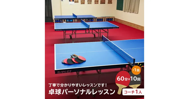 【ふるさと納税】卓球パーソナルレッスン 60分×11回 コーチ1人 岐阜県 可児市 スポーツ レッスン 体験 回数券 パーソナル 初心者 コーチ付き 室内 大人 子供 送料無料