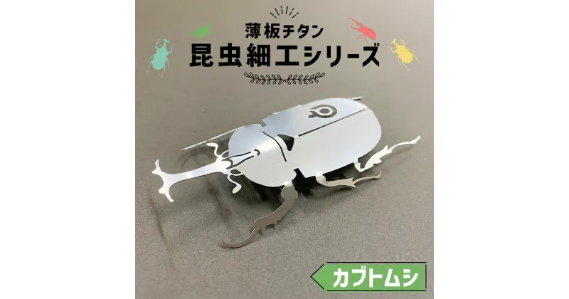 【ふるさと納税】 薄板チタン昆虫細工シリーズ（カブトムシ） 岐阜県 可児市 高級素材 雑貨 インテリア カブトムシ おしゃれ 綺麗 精密加工 芸術 アート チタン 昆虫細工 芸術 木箱 送料無料