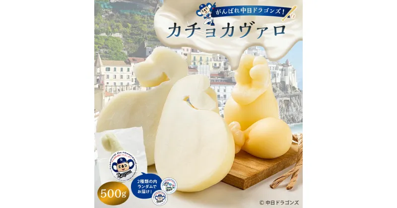 【ふるさと納税】がんばれ中日ドラゴンズ！カチョカヴァロ500g【中日ドラゴンズコラボ】 岐阜県 可児市 チーズ 乳製品 ミルク マイルド コク 熟成 セミハードタイプ 南イタリア原産 お取り寄せ グルメ 送料無料