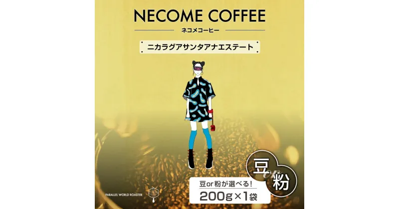 【ふるさと納税】 ニカラグアサンタアナエステート 選べる 豆 粉 岐阜県 可児市 コーヒー ドリップコーヒー 飲料 レギュラーコーヒー 焙煎 リラックス 爽やか お取り寄せ 送料無料