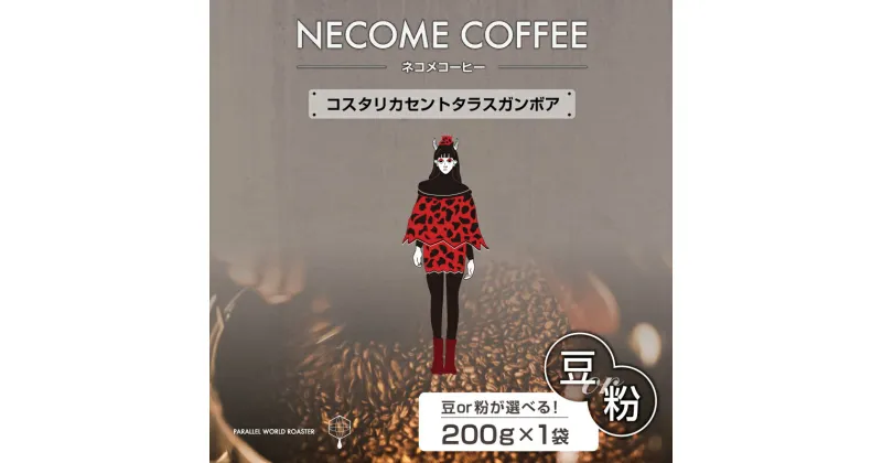 【ふるさと納税】 コスタリカセントタラスガンボア 選べる 豆 粉 岐阜県 可児市 コーヒー ドリップコーヒー 飲料 レギュラーコーヒー 焙煎 リラックス 甘味 お取り寄せ 送料無料